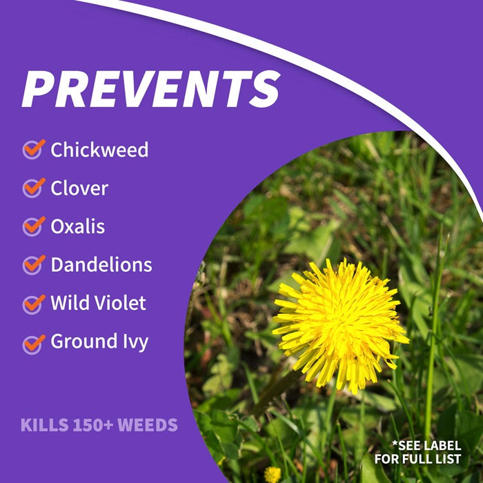 Bonide 061 16 oz Bottle of Concentrate Chickweed Clover & Oxalis Killer