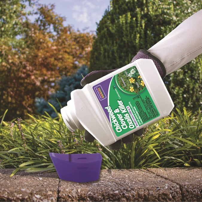 Bonide 061 16 oz Bottle of Concentrate Chickweed Clover & Oxalis Killer