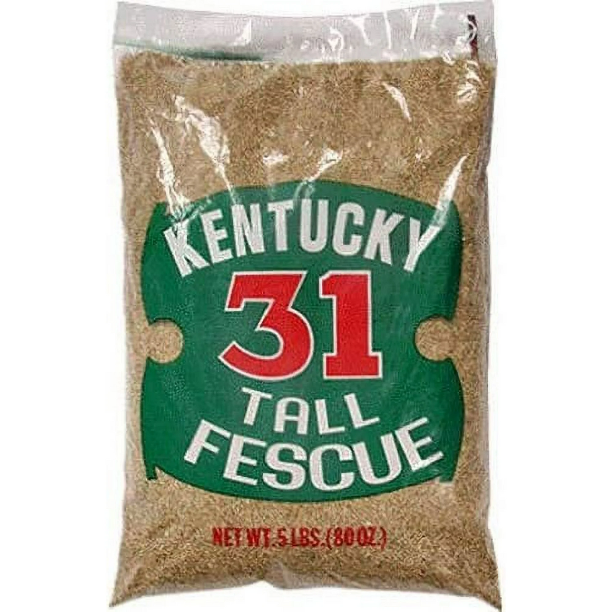 Barenbrug 16205 5 LB Bag of Kentucky 31 Tall Fescue Grass Sun or Shade Grass Seed