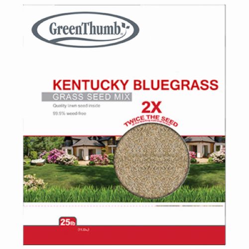 Barenbrug GTKBG25 25 LB Bag of Kentucky Bluegrass Grass Seed Mix - Quantity of 4
