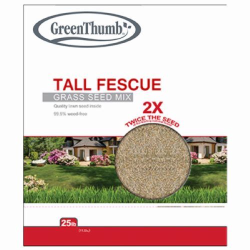 Barenbrug GTTF25 25 LB Bag of Turf Type Tall Fescue Grass Seed Mix - Quantity of 5