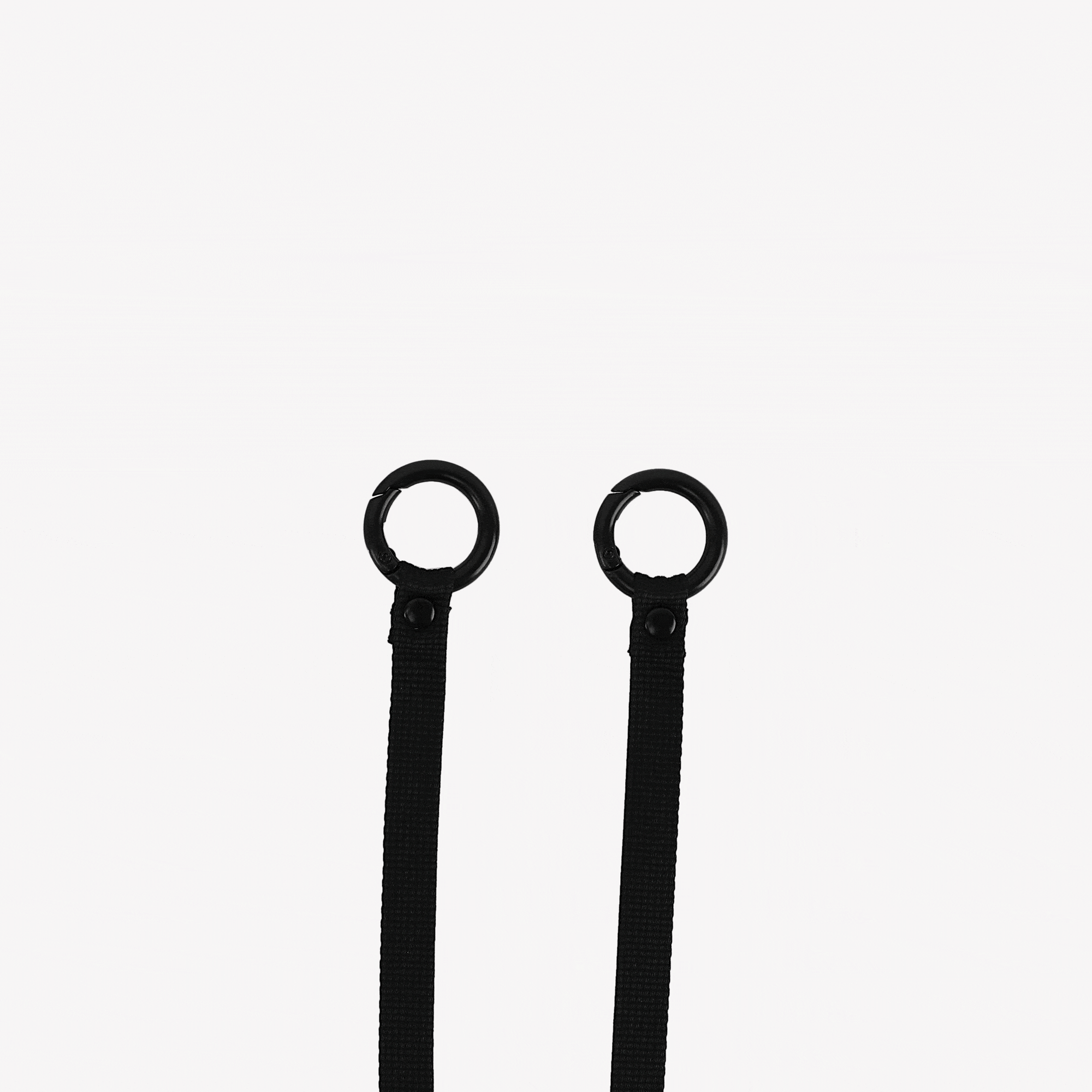 Lanyard