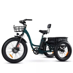 🏆Best Value – Electric Bike[750W]