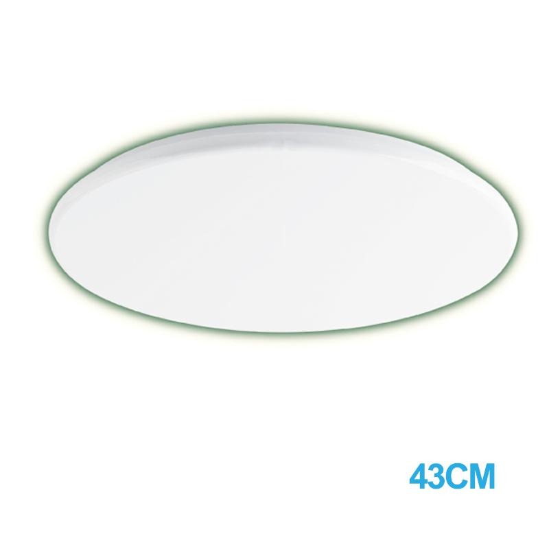 LED Ceiling Lamp, Ceiling Light, Round Light  36W Daylight (PPC480)