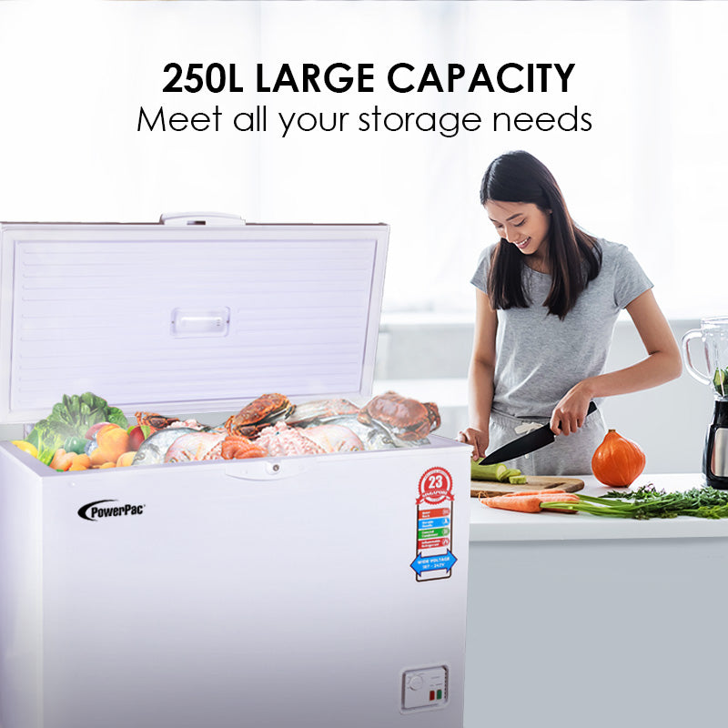 250L Chest Freezer CFC Free (PPFZ250)
