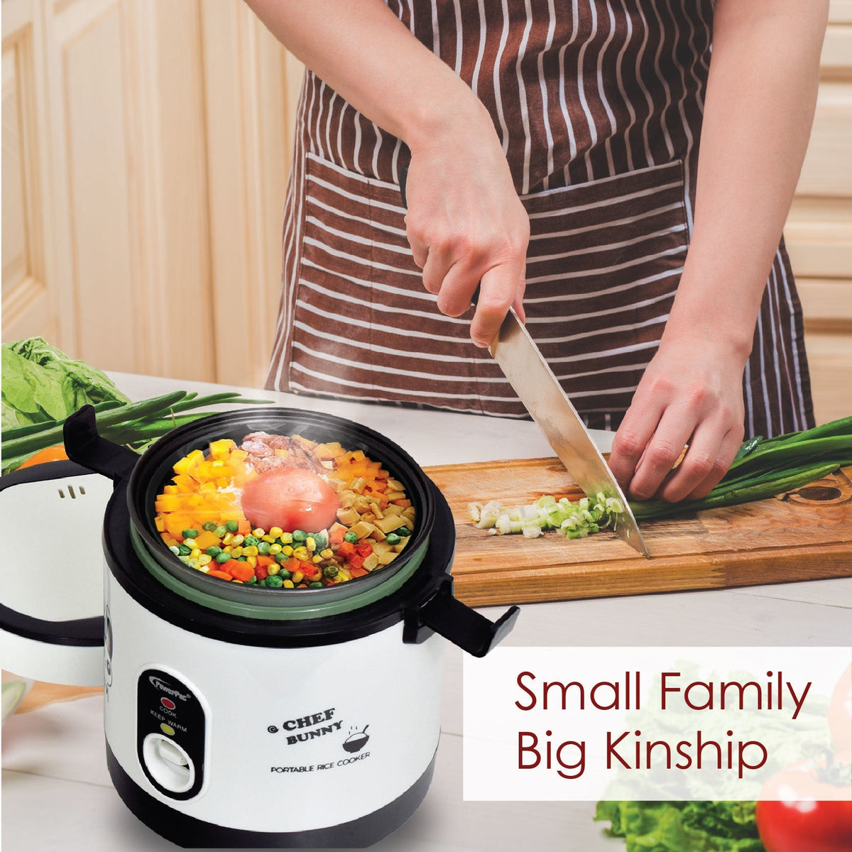 Mini Rice Cooker, Electric Lunch Box 0.6L (PPRC09)