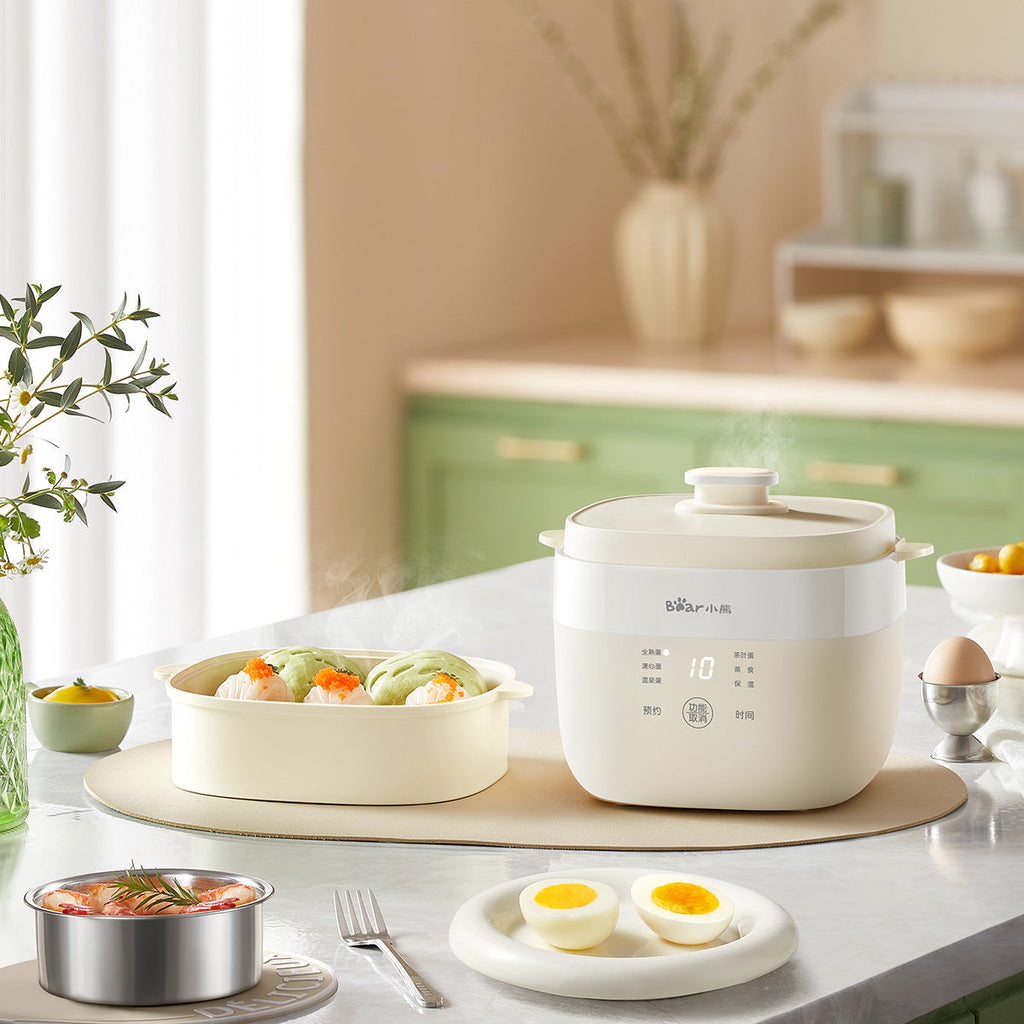 Bear Multi-Purposed Steamer 10 Eggs, 2 tier Steamer (ZDQ-T10Y2)
