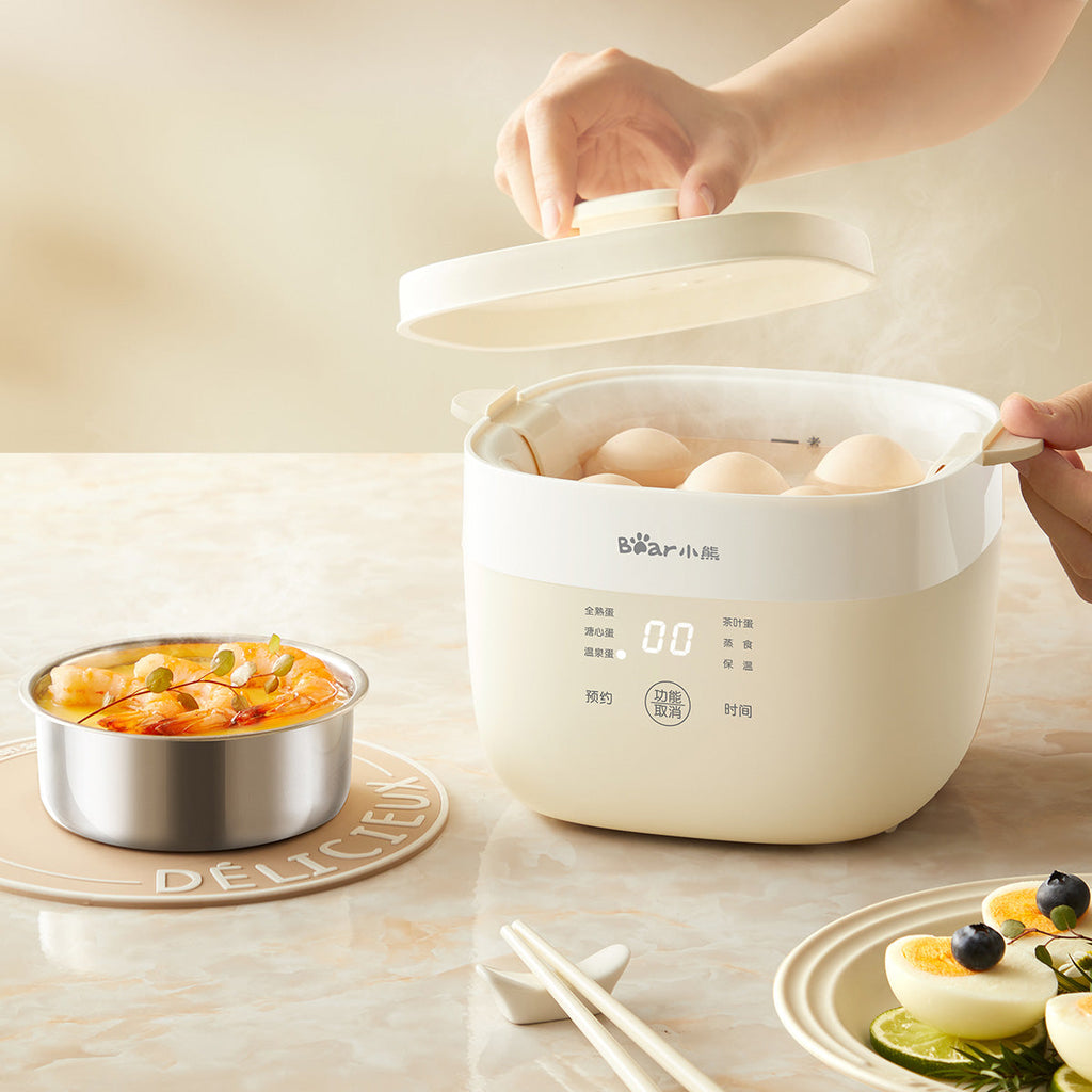 Bear Multi-Purposed Steamer 10 Eggs, 2 tier Steamer (ZDQ-T10Y2)